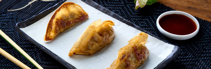 Gyozas Emplatadas